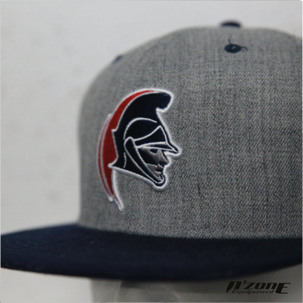 Dragons (type snapback)