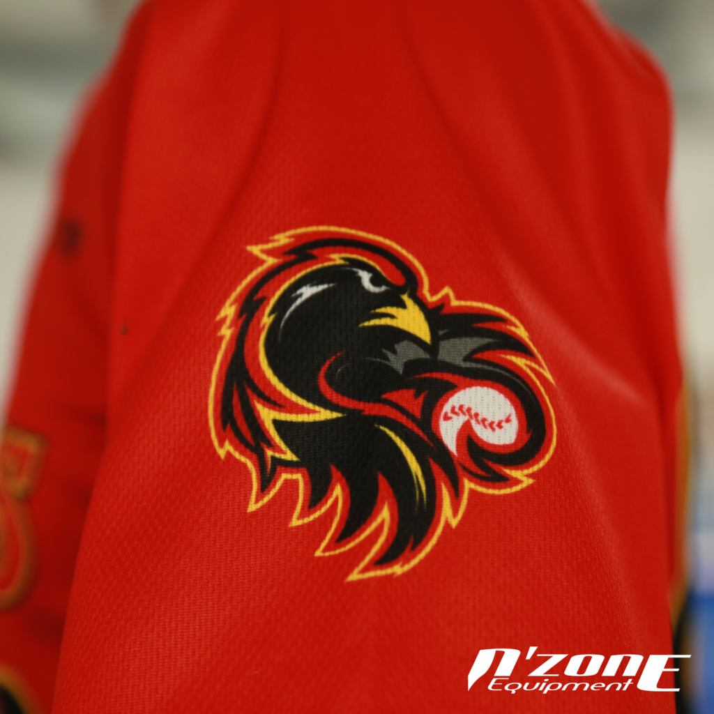 Logo manche du maillot des Redwings de Rennes