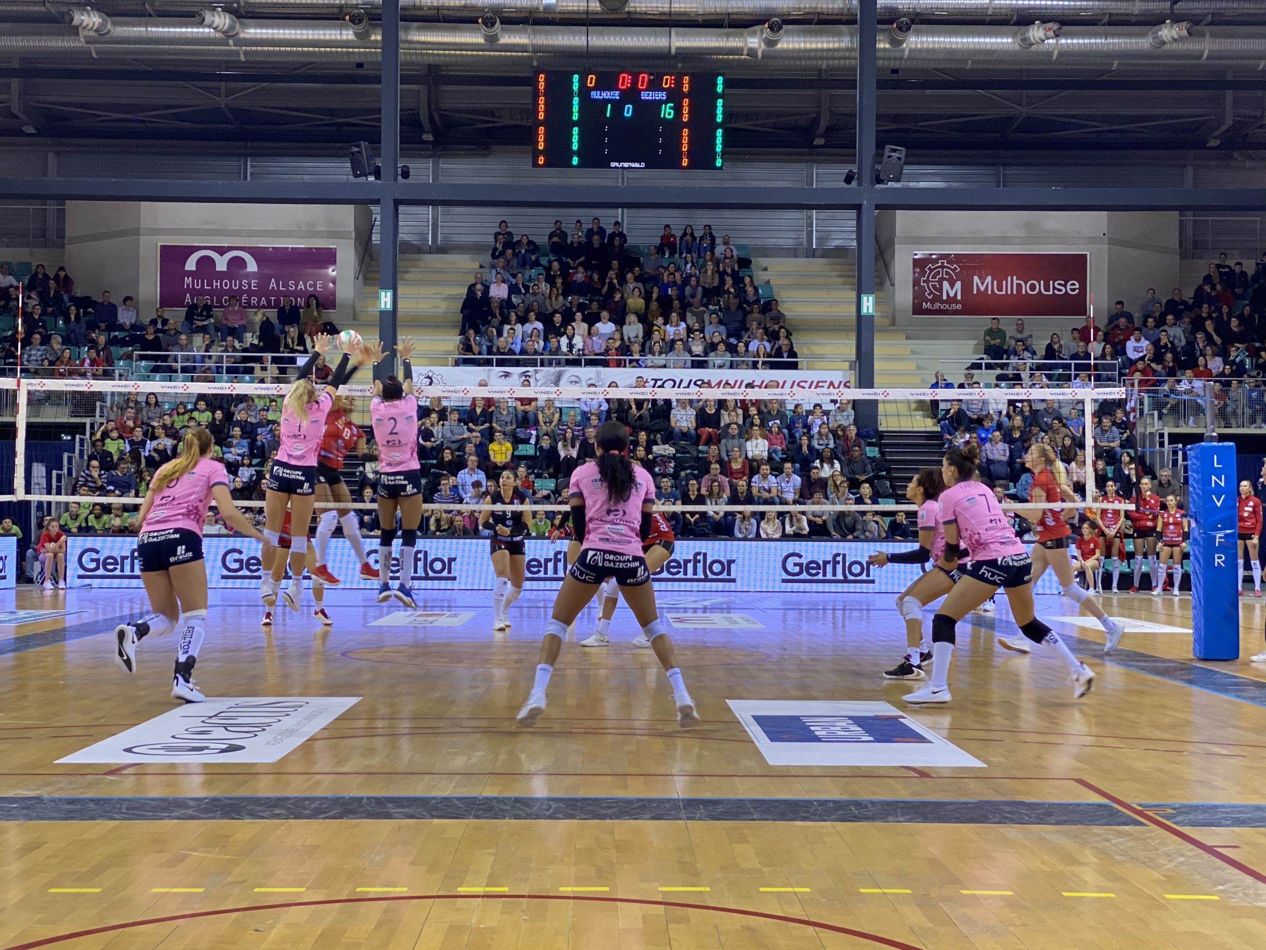 Volley Nzone